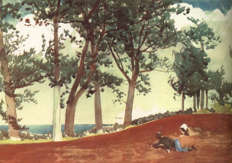 Winslow Homer Houses and trees oil painting image